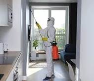 Servicio profesional de fumigación